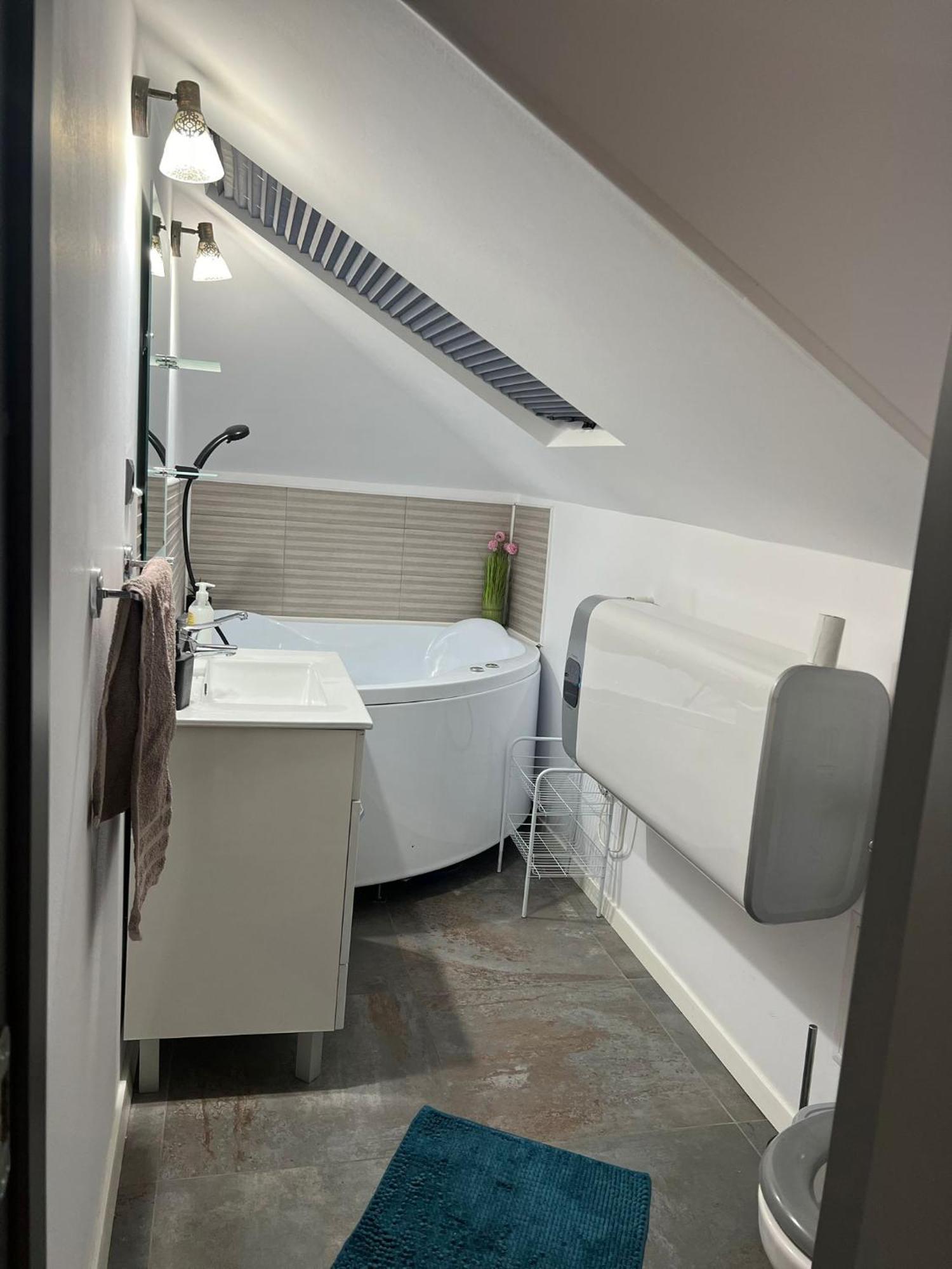Apartament Mansarda Venus Râmnicu Vâlcea Zewnętrze zdjęcie